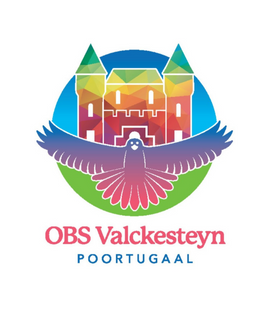 Team Valckesteyn- logo